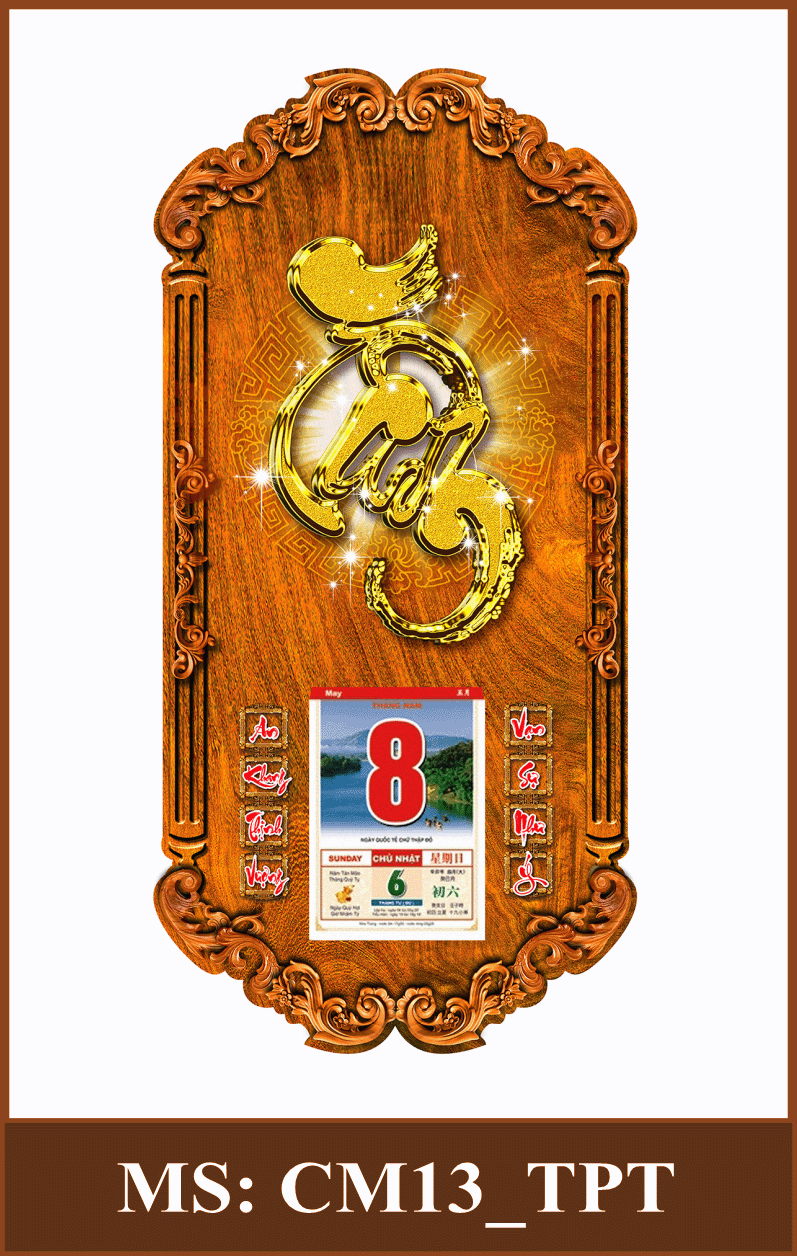 CM13_TPT