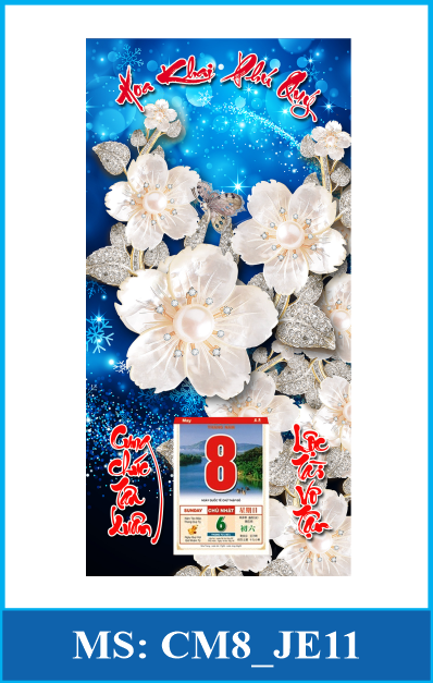 CM8_JE11
